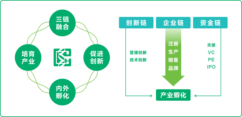 南宫28式孵化